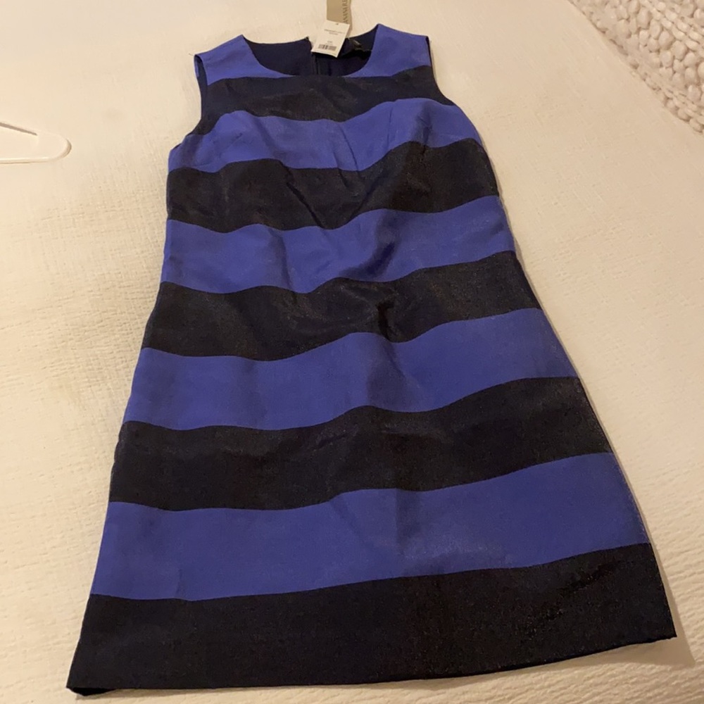 Banana Republic navy and royal blue striped dress